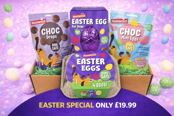 Easter Choc Gift Box