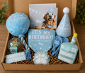 Dog Birthday Gift Box 🩵