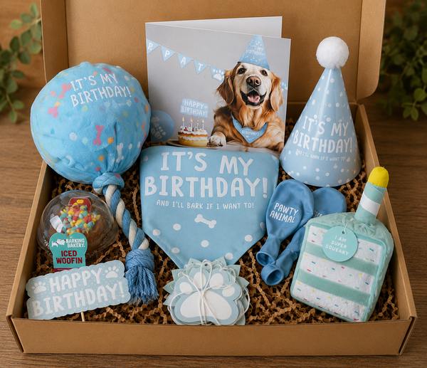 Dog Birthday Gift Box 🩵